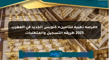 «فرصة ذهبية للتأمين» كنوبس الجديد في المغرب 2025 طريقة التسجيل والمتطلبات
